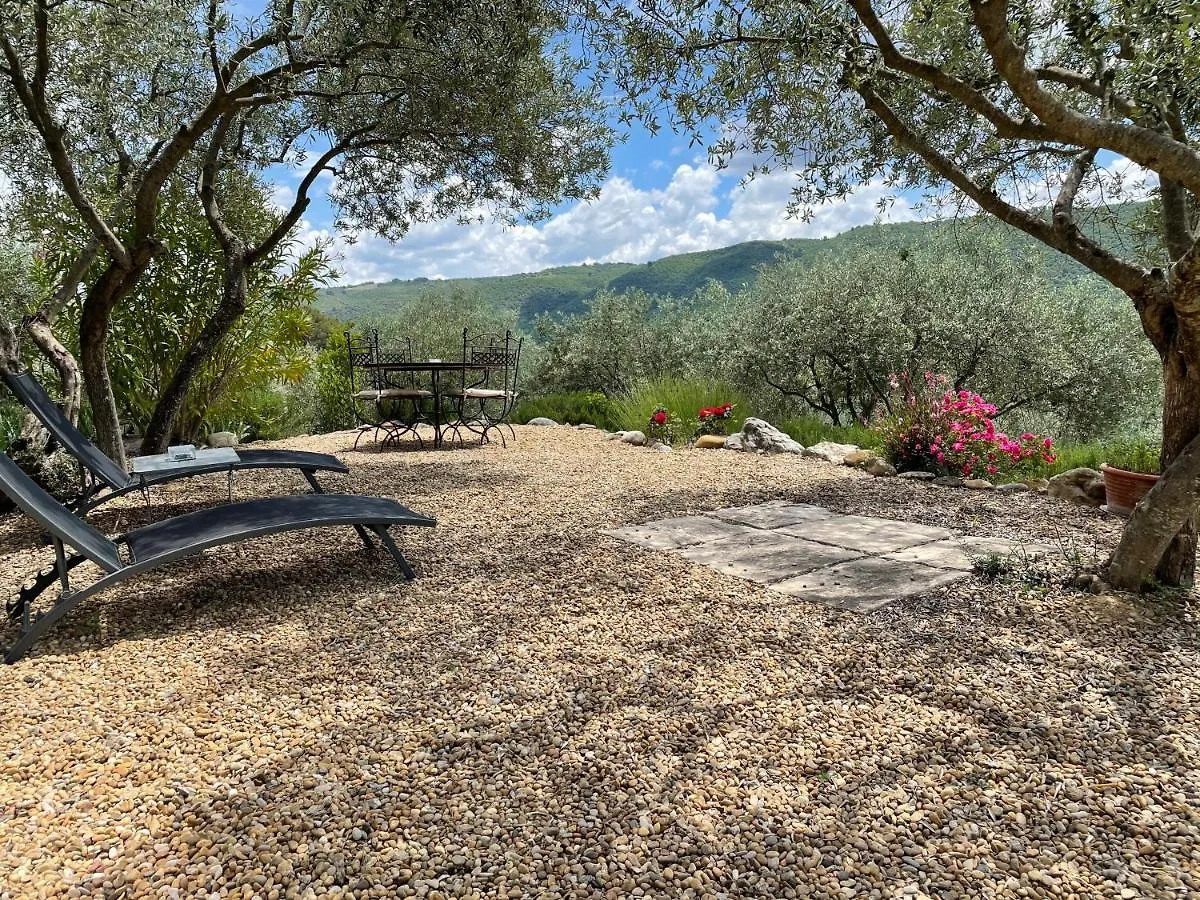 Gite La Maison Dans L'Olivette Oraison Francia