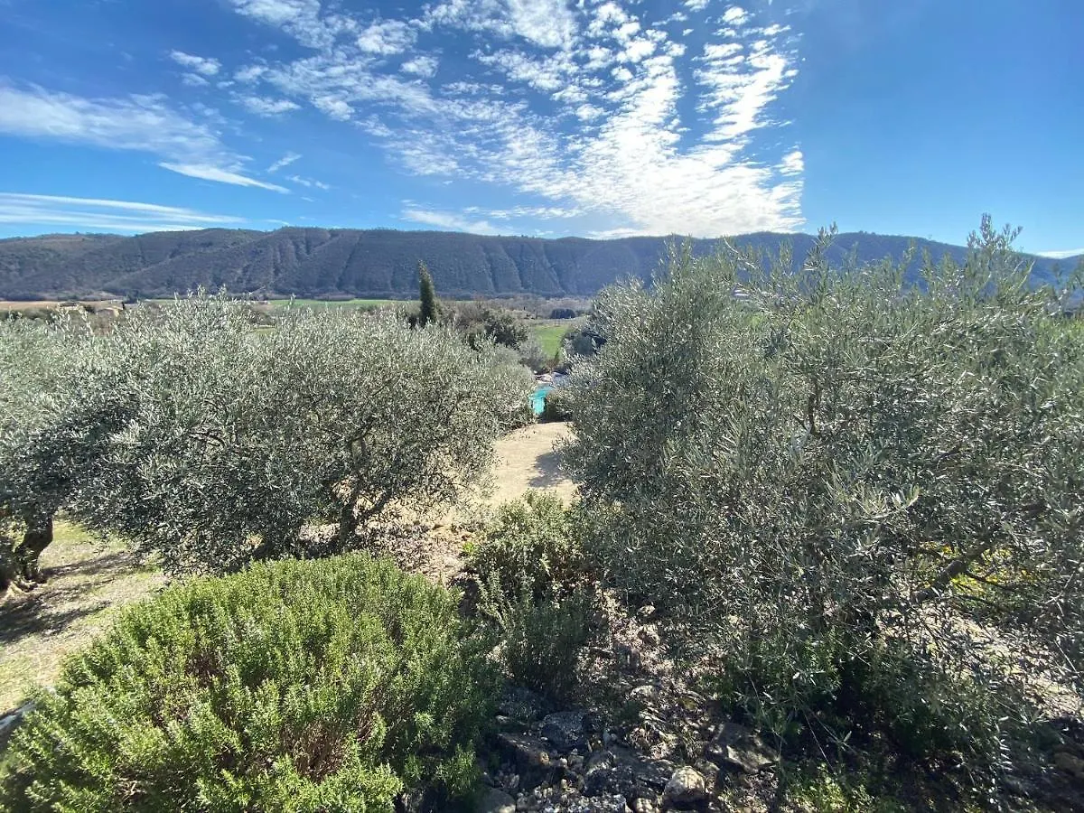 Gite La Maison Dans L'Olivette Oraison France