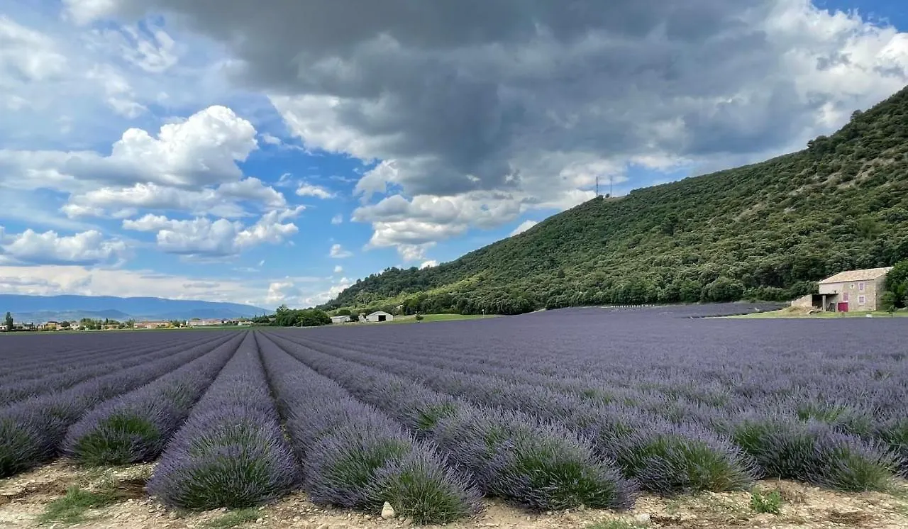 Gite La Maison Dans L'Olivette Oraison Holiday home